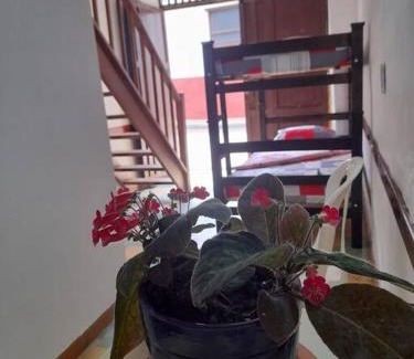 Zapatoca Apartamento | Apartaestudio cerca a parque Zapatoca