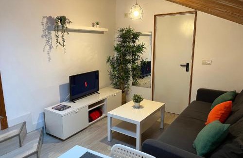 Cuestaedo Apartamento | Apartamento rural en Espinosa de los Monteros