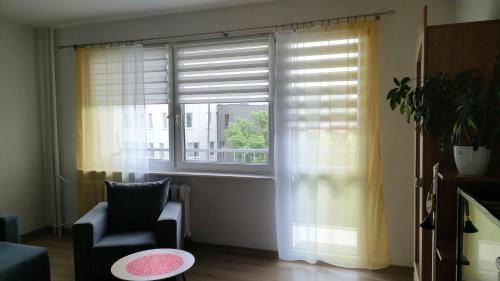 Ostrowiec Swietokrzyski Apartamento | Apartament 2 pokoje