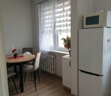 Ostrowiec Swietokrzyski Apartamento | Apartament 2 pokoje