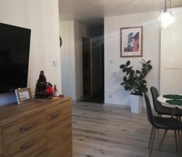 Zabrze Apartamento | Apartament Ślęczka
