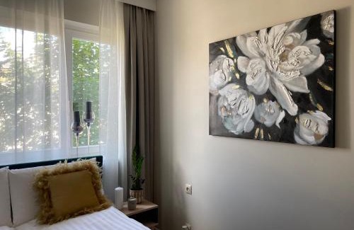 Kielce Apartamento | Apartament 13