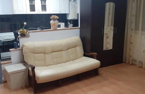 Emanoil Gojdu Apartamento | Apartament 2 camere