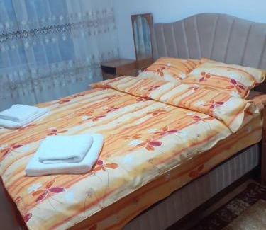 Emanoil Gojdu Apartamento | Apartament 2 camere