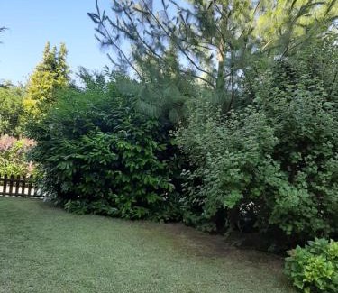 Krokowa Apartamento | Apartament – 3 pokojowe dwupoziomowe mieszkanie z ogrodem