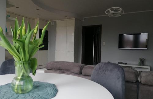 Olsztynek Apartamento | Apartament 35