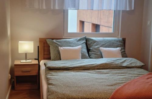 Torun Apartamento | Apartament 55 z miejscem w garażu