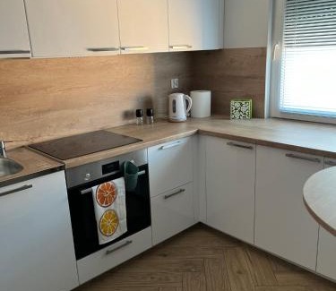 Torun Apartamento | Apartament 55 z miejscem w garażu