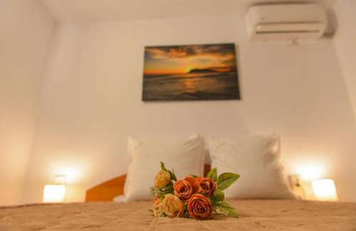 Saturn Apartamento | Apartament A1 - EVIM