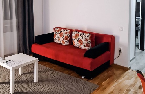 Emanoil Gojdu Apartamento | Apartament Alina