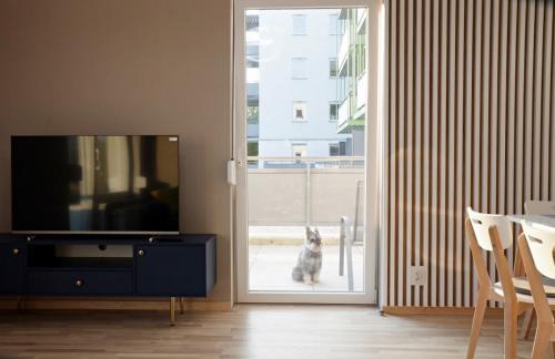 Psie Pole Apartamento | Apartament Amerigo