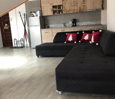 Busteni Apartamento | Apartament Andy Busteni 30 m de partie