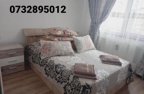 Campulung Moldovenesc Apartamento | Apartament Bianca