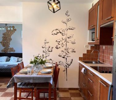 Krynica-Zdroj Apartamento | Apartament BB II koło Cerkwi z garażem