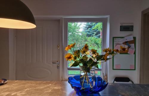 Biala Podlaska Apartamento | Apartament Bema