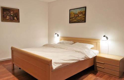 Hunedoara Apartamento | Apartament BOCA 2