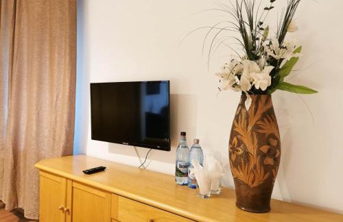 Hunedoara Apartamento | Apartament BOCA 2