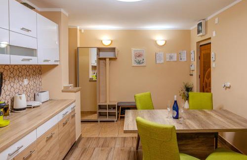 Timisoara Apartamento | Apartament central Timisoara