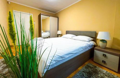 Timisoara Apartamento | Apartament central Timisoara