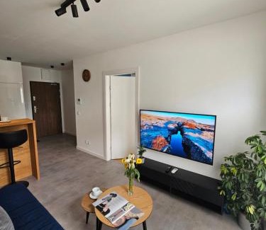 Czyzyny Apartamento | Apartament Centralna Park