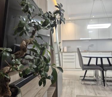 Kielce Apartamento | Apartament Centrum obok Rynku z garażem