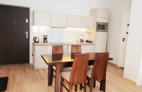 Krynica-Zdroj Apartamento | Apartament City Center Familijny