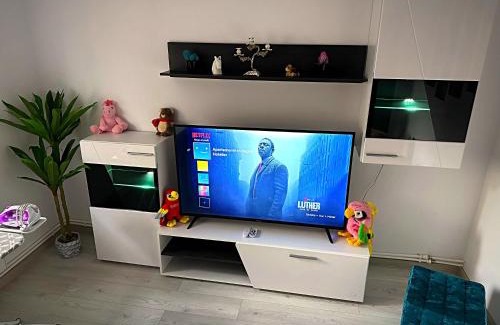 Botosani Apartamento | Apartament cu 2 camere/Curte privata/La parter/Lux oferim factura