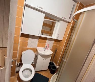 Dorohoi Apartamento | Apartament cu o cameră