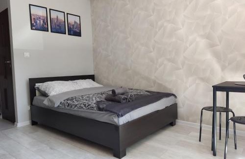 Zabrze Apartamento | Apartament Curie