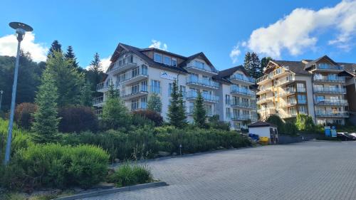 Sienna Apartamento | Apartament Czarna Góra B11
