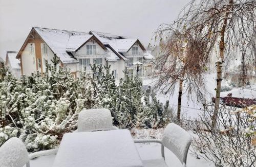 Sienna Apartamento | Apartament Czarna Góra Resort - Livigno