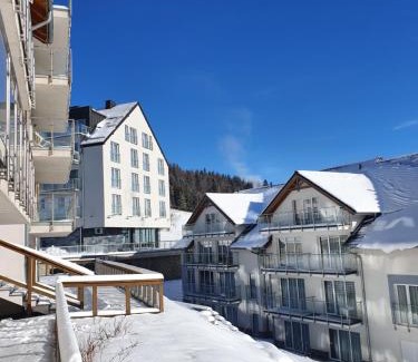 Sienna Apartamento | Apartament Czarna Góra STUBAI 5