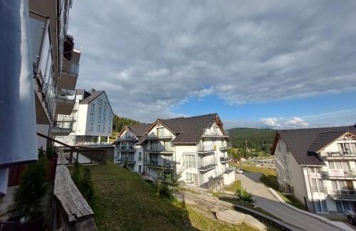 Sienna Apartamento | Apartament Czarna Góra STUBAI 5