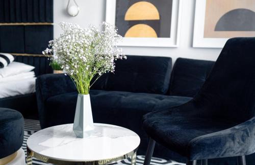 Dzielnica Uzdrowiskowa Apartamento | Apartament Czarna Perła z klimatyzacją - Solny Resort A248