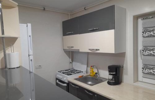 Tirgu Ocna Apartamento | Apartament Daniel