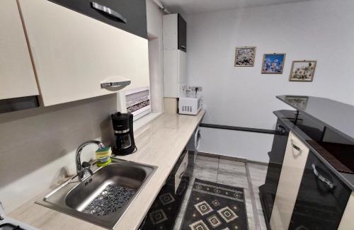 Tirgu Ocna Apartamento | Apartament Daniel