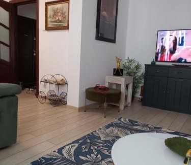 Lupeni Apartamento | Apartament Elena