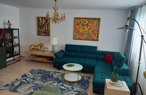 Lupeni Apartamento | Apartament Elena