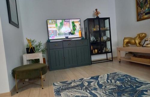Lupeni Apartamento | Apartament Elena