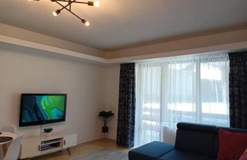Busteni Apartamento | Apartament Eric, Busteni