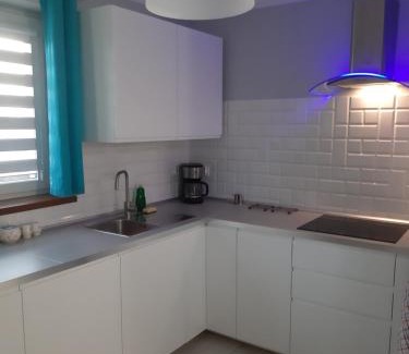 Brzezinka Apartamento | Apartament FAMILY- klimatyzacja