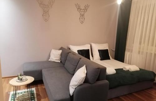 Zabrze Apartamento | Apartament Gagarina 31