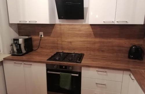 Zabrze Apartamento | Apartament Gagarina 31