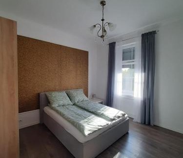 Nysa Apartamento | Apartament GALERIA