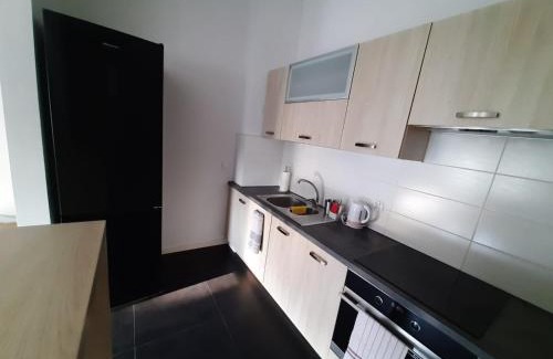 Nysa Apartamento | Apartament GALERIA