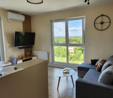 Bydgoszcz Apartamento | Apartament Golden Dragonfly