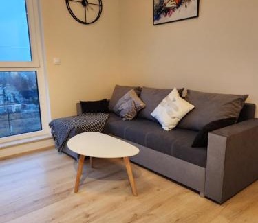 Bydgoszcz Apartamento | Apartament Golden Dragonfly