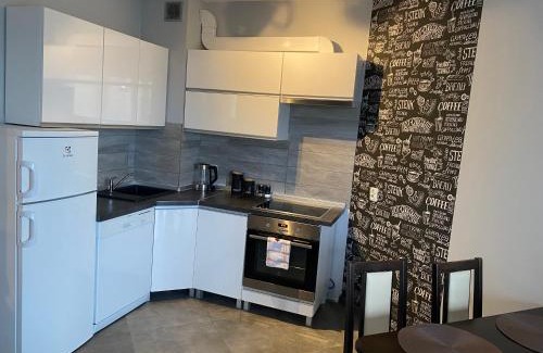 Gorzow Wielkopolski Apartamento | Apartament Gorzów