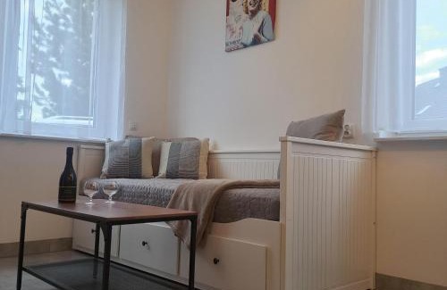 Wadowice Apartamento | Apartament Gotowizna