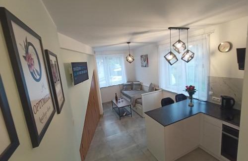 Wadowice Apartamento | Apartament Gotowizna